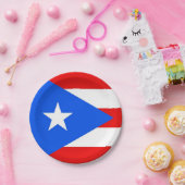 Patriottisch papier bord met Puerto Rico vlag (Feest)