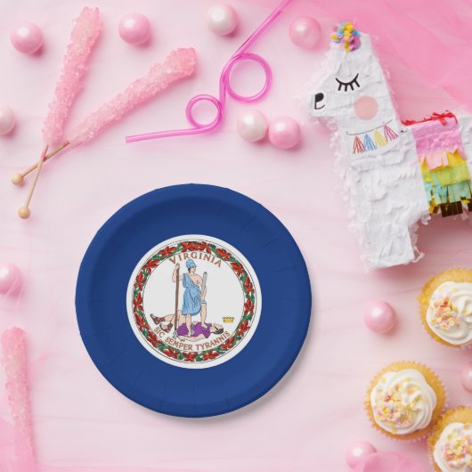 Patriottisch papier bord met Virginia vlag (Feest)