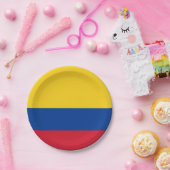 Patriottisch papier bord met vlag van Colombia (Feest)