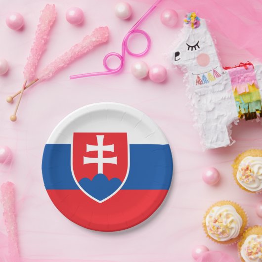 Patriottisch papier bord met vlag van Slowakije (Feest)