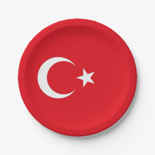 Patriottisch papier bord met vlag van Turkije