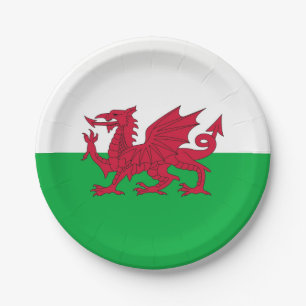 Patriottisch papier bord met vlag van Wales