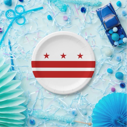 Patriottisch papier bord met Washington DC-vlag (Feest)