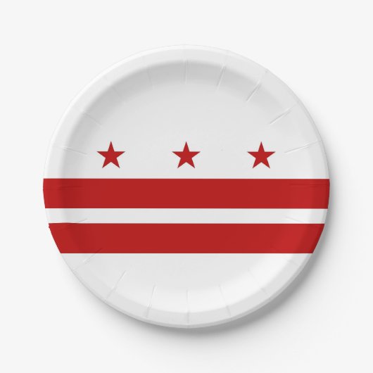 Patriottisch papier bord met Washington DC-vlag (Voorkant)