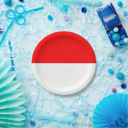 Patriottisch papieren bord met Indonesische vlag (Feest)