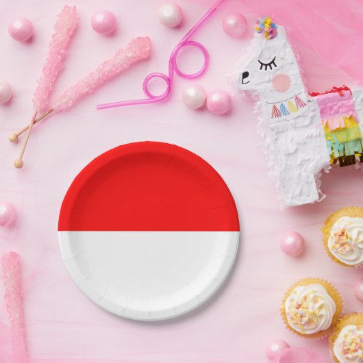 Patriottisch papieren bord met Indonesische vlag (Feest)