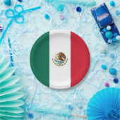 Patriottisch papieren bord met Mexicaanse vlag (Feest)