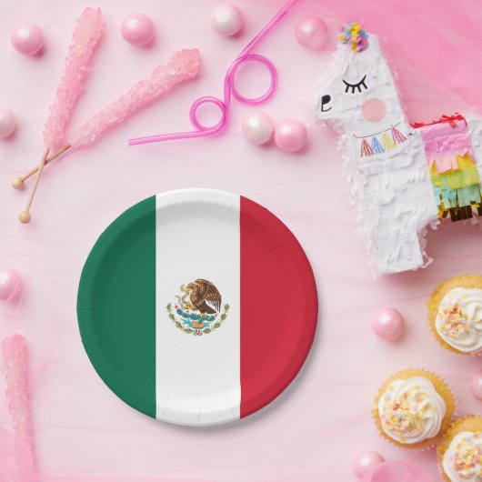 Patriottisch papieren bord met Mexicaanse vlag (Feest)