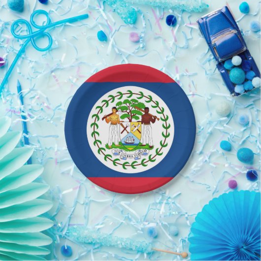 Patriottisch papieren bord met vlag van Belize (Feest)