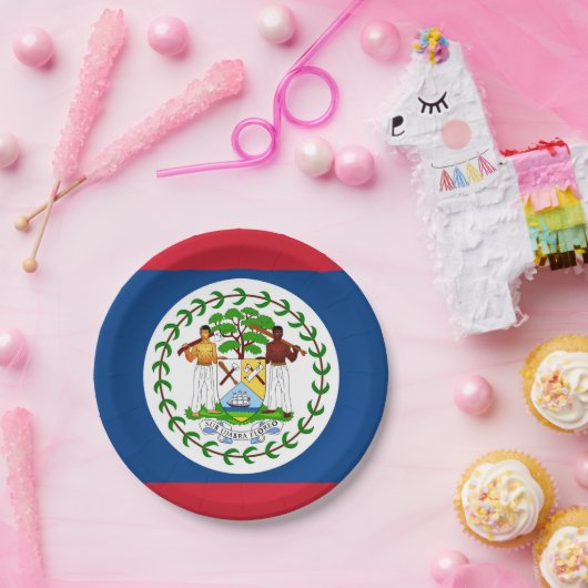 Patriottisch papieren bord met vlag van Belize (Feest)