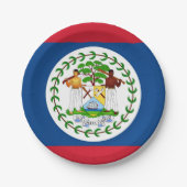 Patriottisch papieren bord met vlag van Belize (Voorkant)