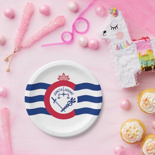 Patriottisch papieren bord met vlag van Cincinnati (Feest)