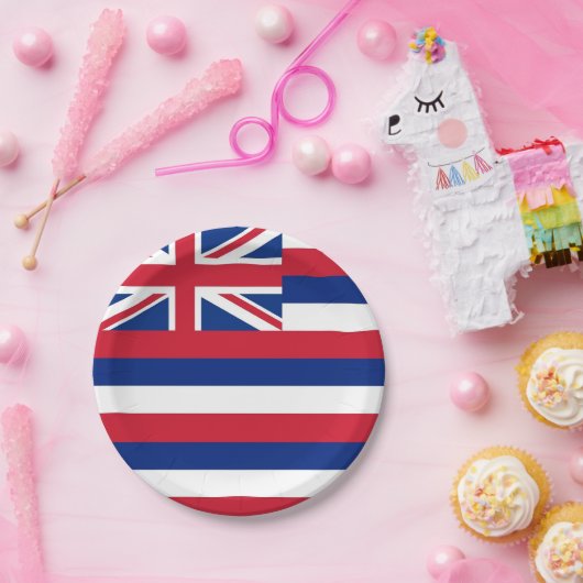 Patriottisch papieren bord met vlag van Hawaï (Feest)