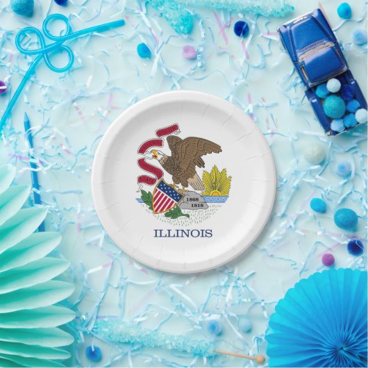 Patriottisch papieren bord met vlag van Illinois (Feest)