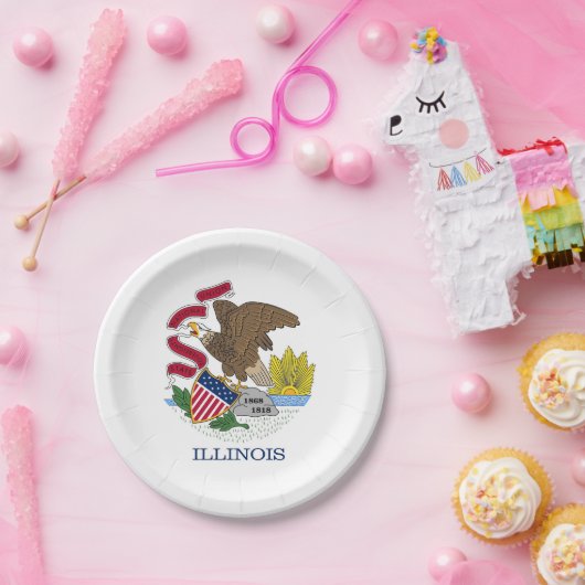 Patriottisch papieren bord met vlag van Illinois (Feest)