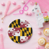 Patriottisch papieren bord met vlag van Maryland (Feest)