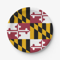 Patriottisch papieren bord met vlag van Maryland