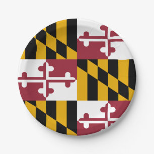 Patriottisch papieren bord met vlag van Maryland