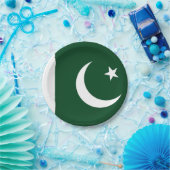 Patriottisch papieren bord met vlag van Pakistan (Feest)