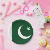 Patriottisch papieren bord met vlag van Pakistan (Feest)