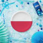 Patriottisch papieren bord met vlag van Polen (Feest)