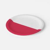 Patriottisch papieren bord met vlag van Polen (Gekanteld)