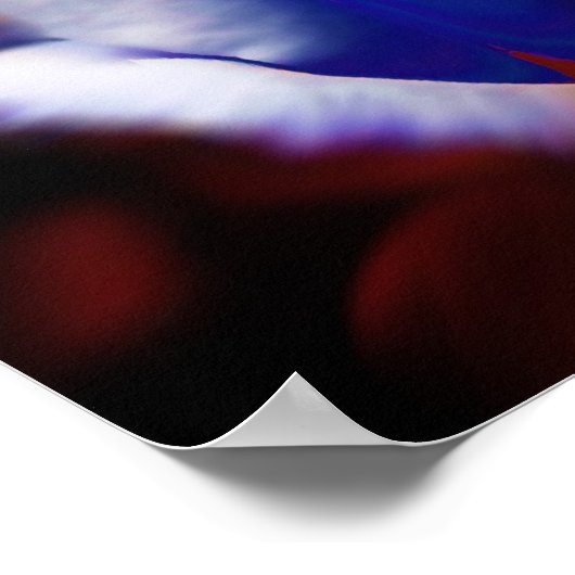 Patriottisch Poster (Hoek)