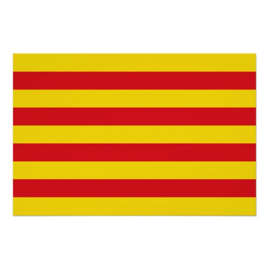 Patriottisch poster met Catalaanse vlag (Voorkant)
