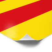 Patriottisch poster met Catalaanse vlag (Hoek)