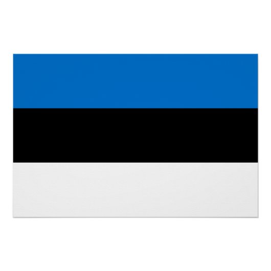 Patriottisch poster met de vlag van Estland (Voorkant)