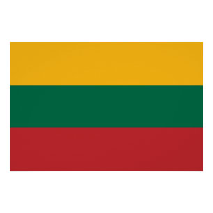 Patriottisch poster met Litouwse vlag