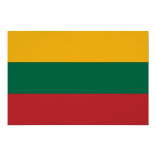 Patriottisch poster met Litouwse vlag (Voorkant)