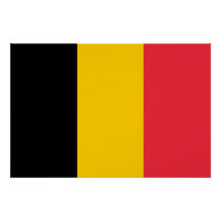 Patriottisch poster met vlag van België