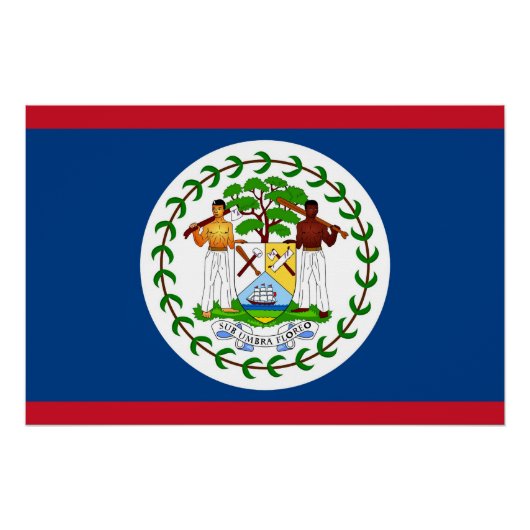 Patriottisch poster met vlag van Belize (Voorkant)