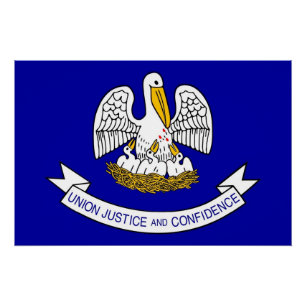 Patriottisch poster met vlag van Louisiana