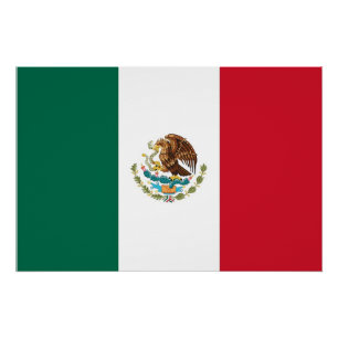 Patriottisch poster met vlag van Mexico