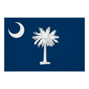 Patriottisch poster met vlag van South Carolina