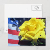 Patriottisch Roos Briefkaart (Voorkant / Achterkant)