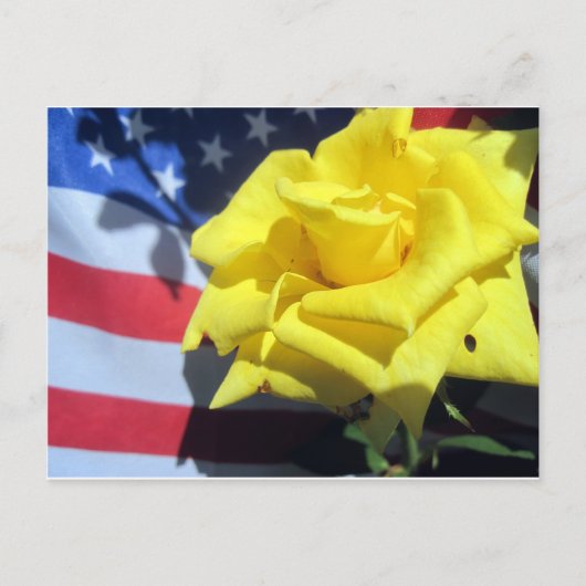 Patriottisch Roos Briefkaart (Voorkant)