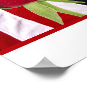 Patriottisch Roos Poster (Hoek)