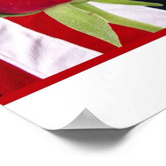 Patriottisch Roos Poster (Hoek)