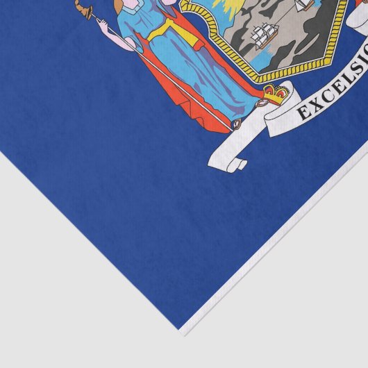 Patriottisch tissuepapier met vlag New York (Detail)