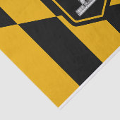 Patriottisch tissuepapier met vlag van Baltimore,  (Detail)