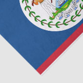 Patriottisch tissuepapier met vlag van Belize (Detail)