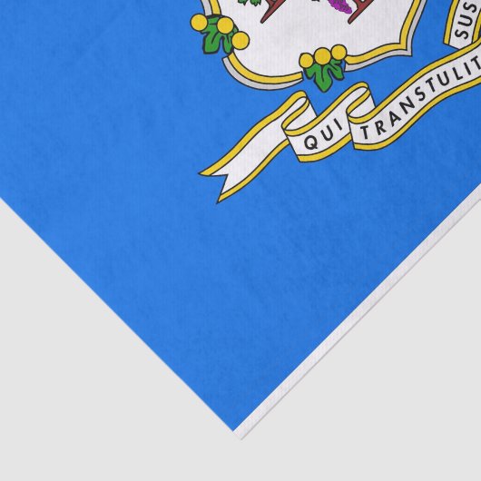 Patriottisch tissuepapier met vlag van Connecticut (Detail)