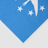 Patriottisch tissuepapier met vlag van Corpus Chri (Detail)