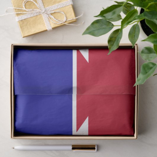 Patriottisch tissuepapier met vlag van Dallas (Geschenk)