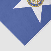 Patriottisch tissuepapier met vlag van Houston (Detail)