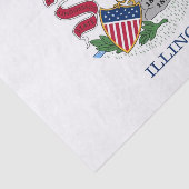 Patriottisch tissuepapier met vlag van Illinois (Detail)