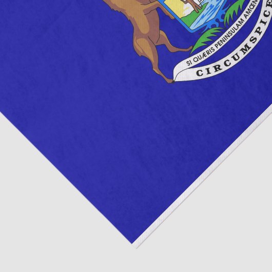 Patriottisch tissuepapier met vlag van Michigan (Detail)
